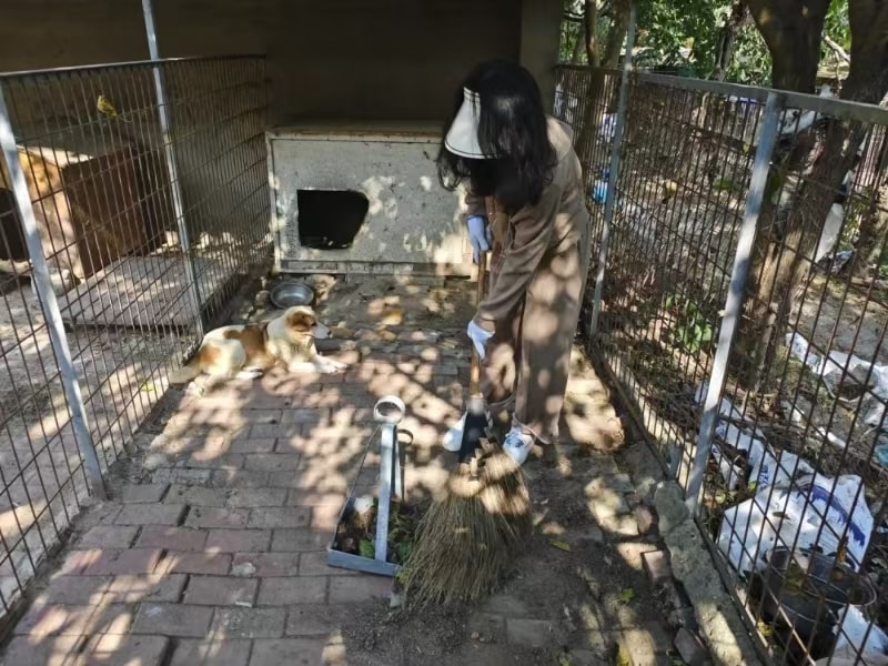 动物救助站清洁日